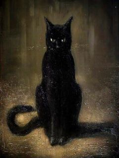 Dark Cat Lord