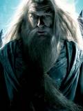 Professor Dumbledore (Albus Dumbledore)