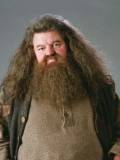 Rubeus Hagrid (Rubeus Hagrid)