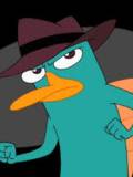 Perry The Platypus (Perry)