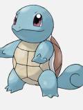 Squirtle (Squirtle)