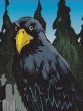Matthew The Raven (Matthew Cable)