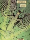 Hawkman (Robin)