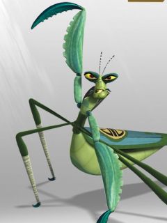 Master Mantis