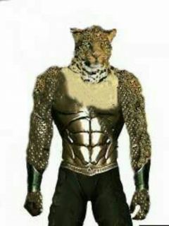 Leopard King