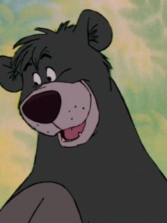 Baloo The Bear
