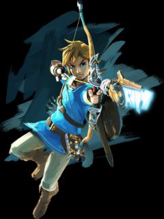 Link (Hero Of The Wild)
