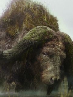Sker Buffalo