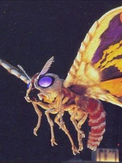 Mothra (GMK)