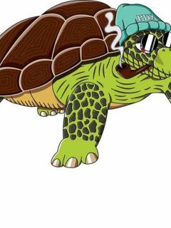 Tortoise Boy (Earth 397)