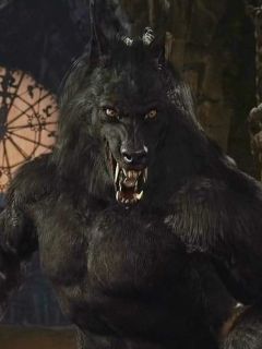 Gabriel Van Helsing (Werewolf)
