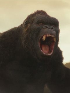 Kong (1973)