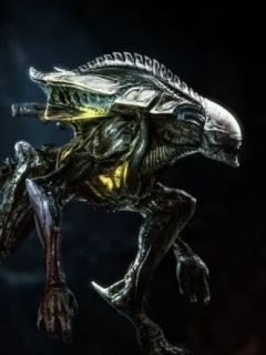 Praetorian Alien