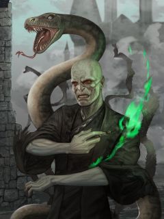 Lord Voldemort (Books)