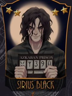 Sirius Black (Books)