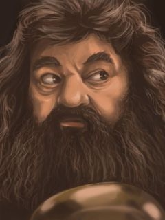 Rubeus Hagrid (Books)