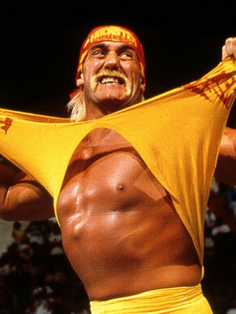 Team Juggernaut vs Chuck Norris & Hulk Hogan (WWE) - Battle - Superhero ...